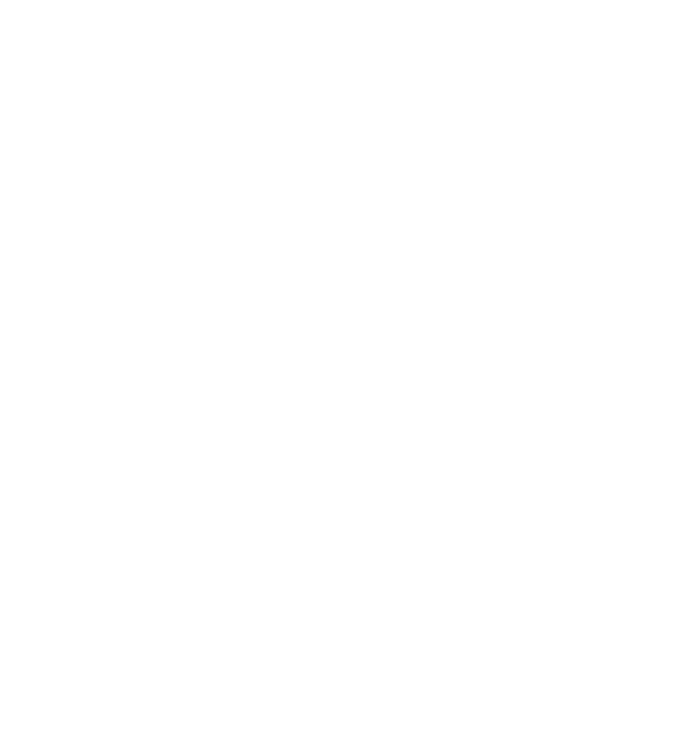 Breizh Ile Elagage Elagage Morbihan 56 Logo